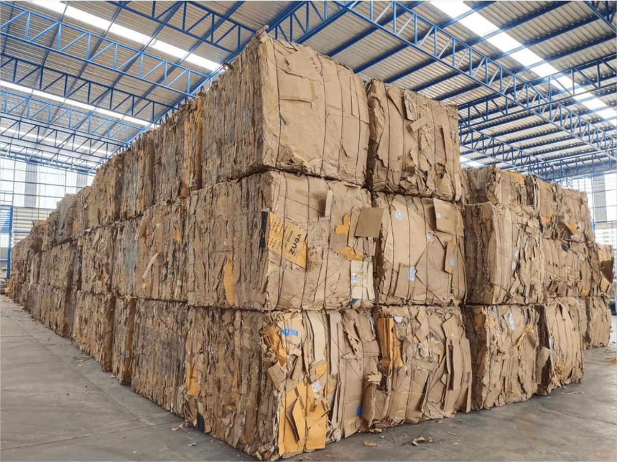 Cardboard